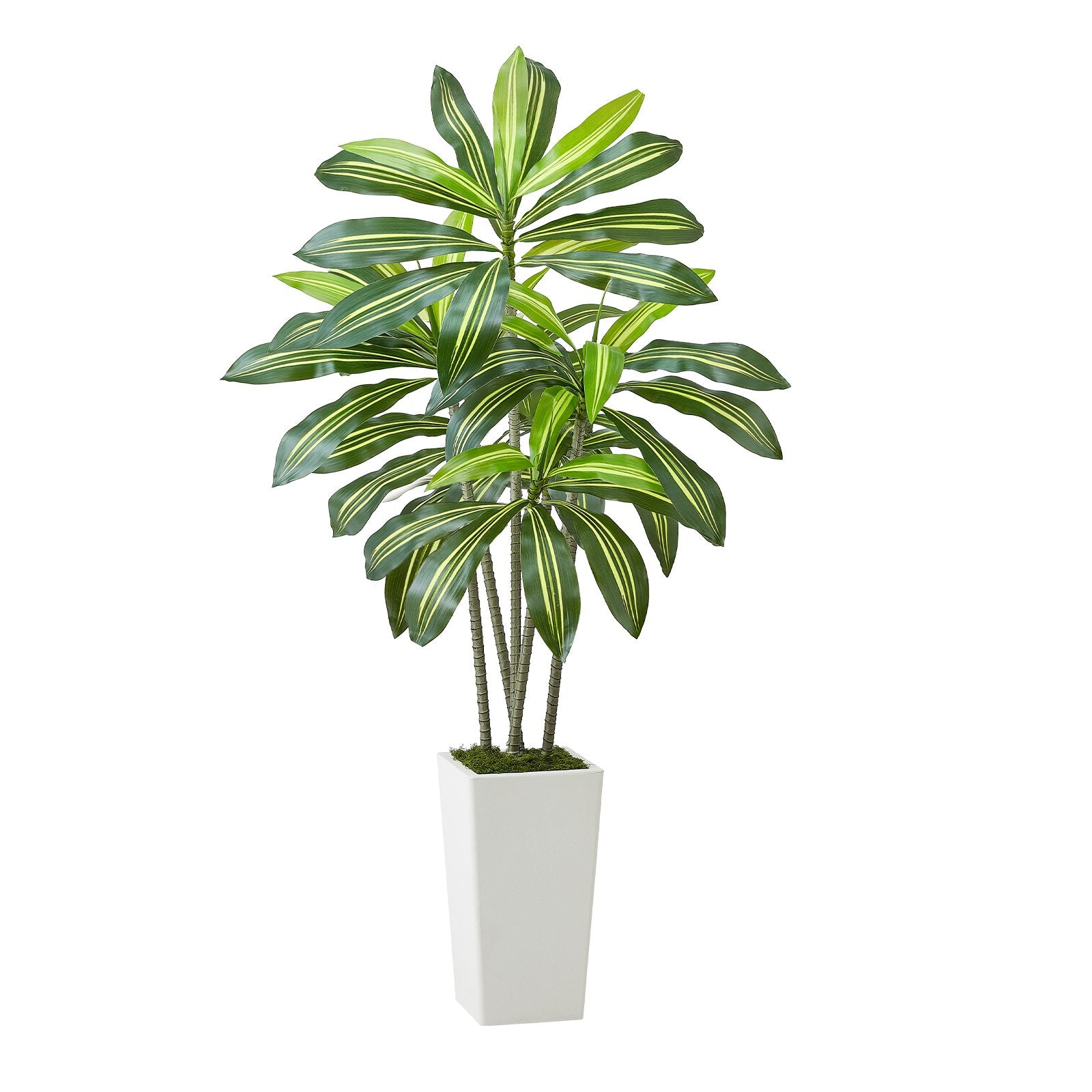 5FT Artificial Tropical Tree | Faux Indoor Floor Plant with Realistic Leaves | Living Room, Office and Home Decor
